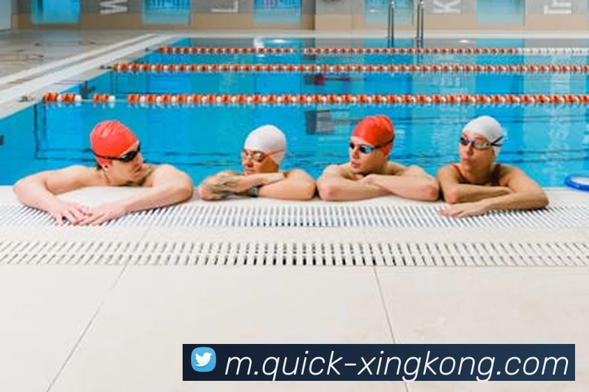 App Interface Preview