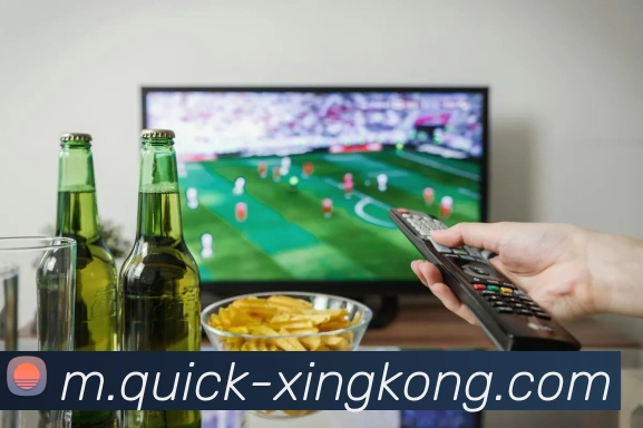 用户互动社区