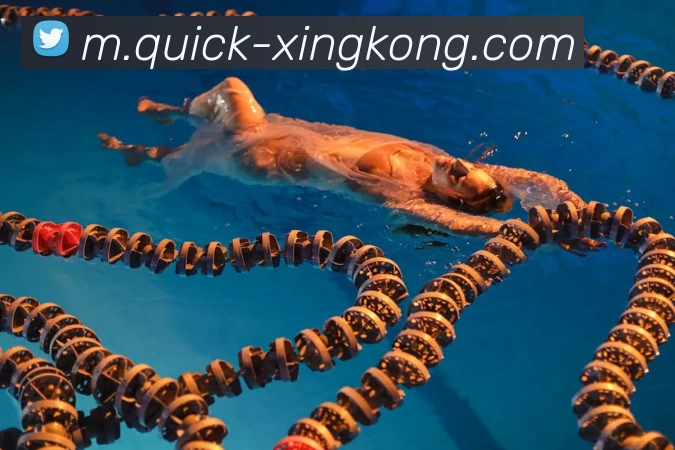 星空体育APP 封面图